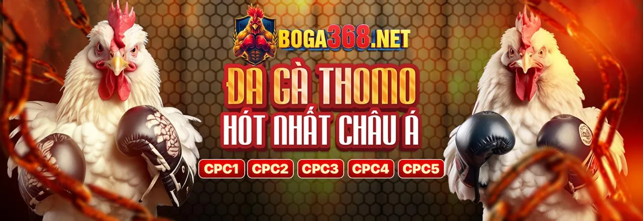 Đấu trường đá gà Thomo 67 sôi động