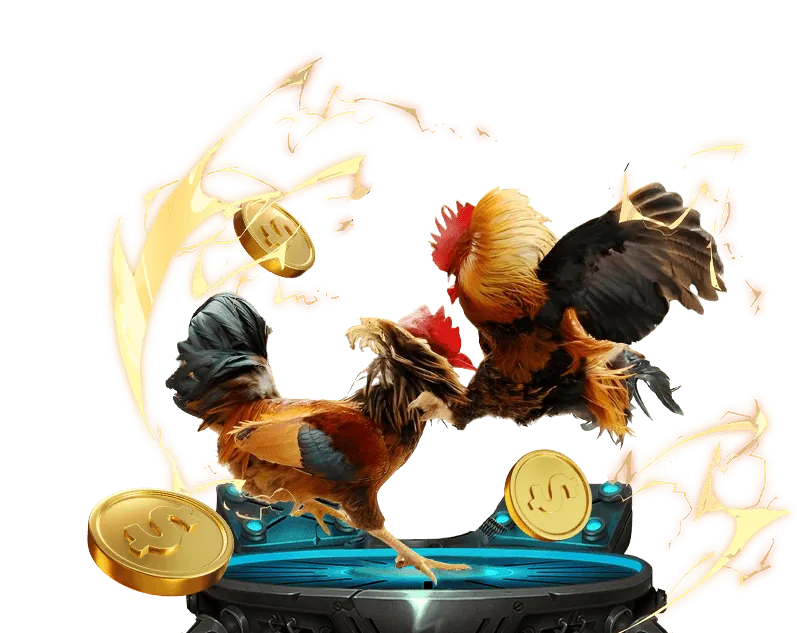 Quy trình đặt cược đá gà online